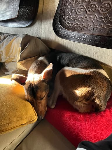 Foto de Clara B.