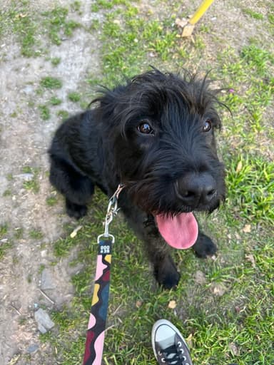 Foto de Clara B.