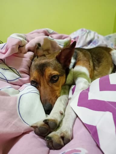 Foto de Clara B.