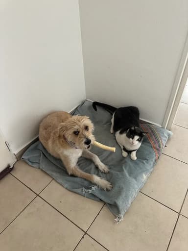 Foto de Agustina G.