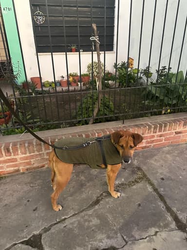 Foto de Agustina G.