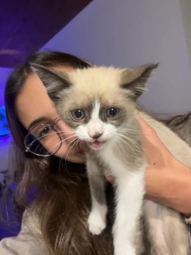 Foto de Agustina G.