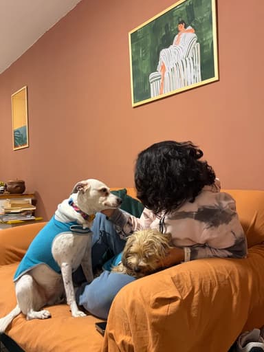 Foto de Laura D.