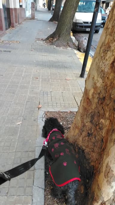 Foto de Franco Nicolás F.