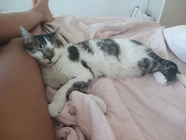 Foto de Federica V.