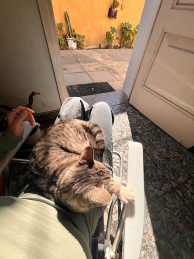 Foto de Micaela I.