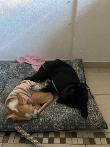 Foto de Millene S.