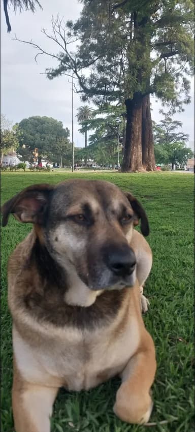 Foto de Milagro A.