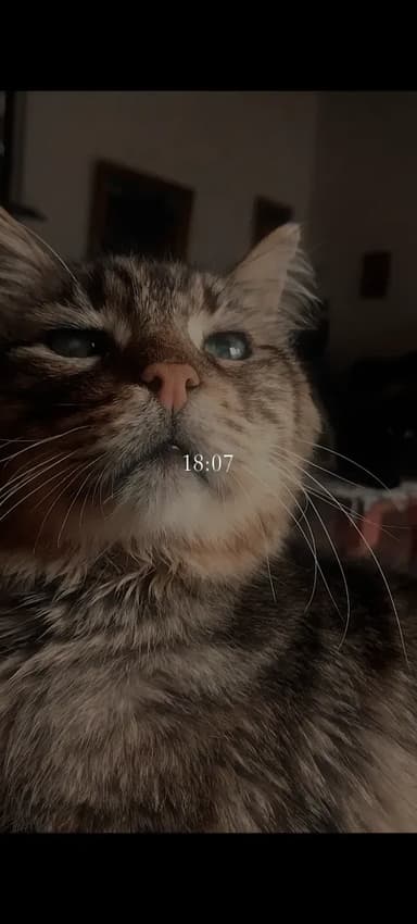 Foto de Milagro A.
