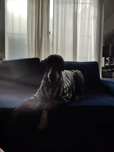 Foto de Juliana C.