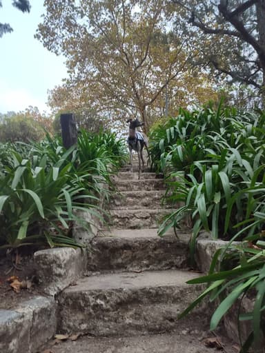 Foto de Juliana C.