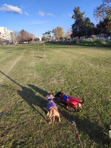 Foto de Juliana C.