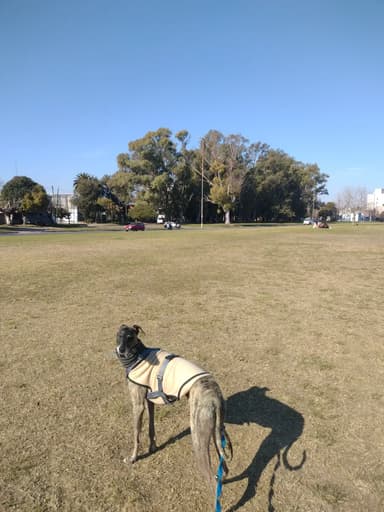 Foto de Luisina A.