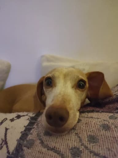 Foto de Luisina A.