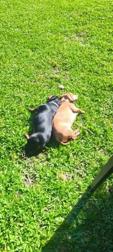 Foto de Luisina A.