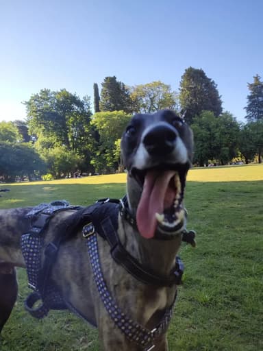Foto de Luisina A.