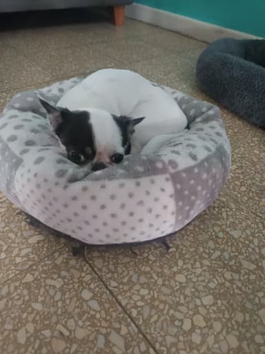 Foto de Viviana L.