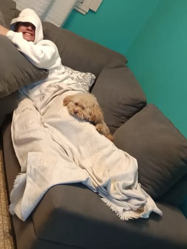 Foto de Viviana L.