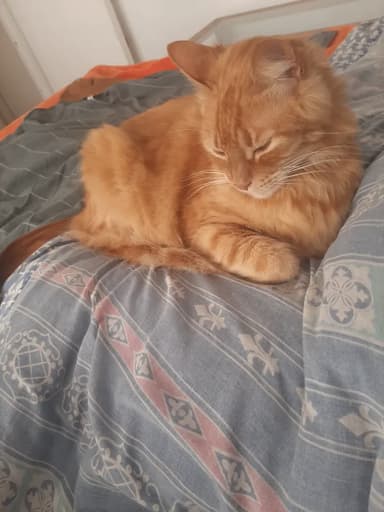 Foto de Marcela R.