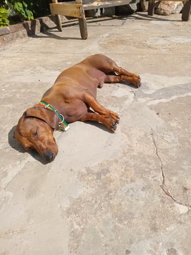 Foto de Lucila G.