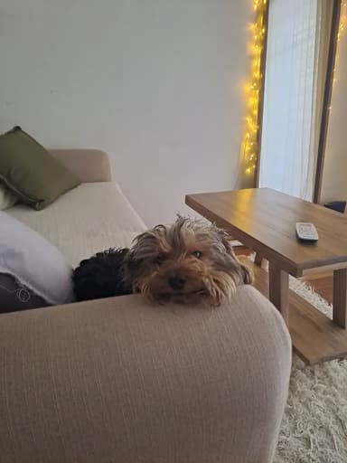 Foto de Lucía D.