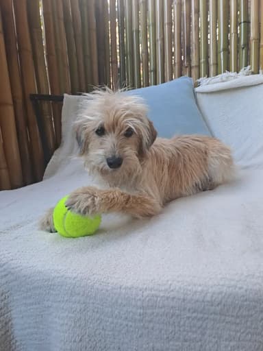 Foto de Lucía D.