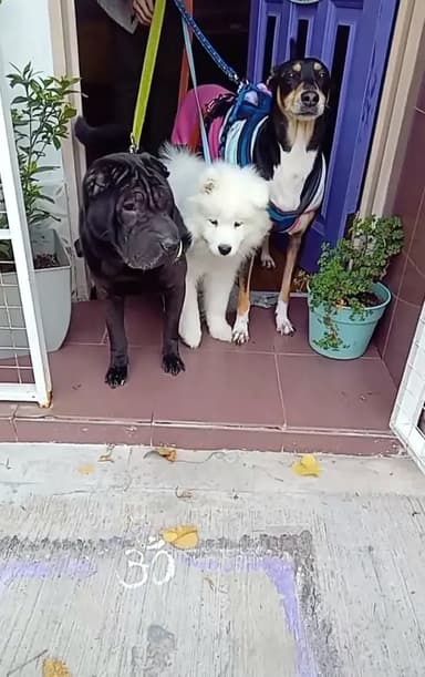 Foto de Anita