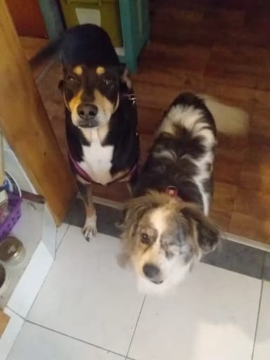 Foto de Anita