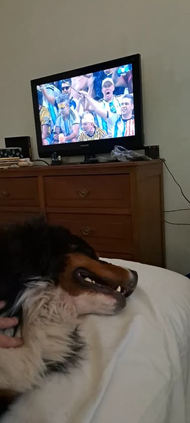 Foto de Fernanda A.