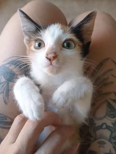 Foto de Gisela G.