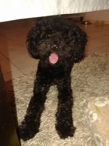 Foto de Fabiana S.