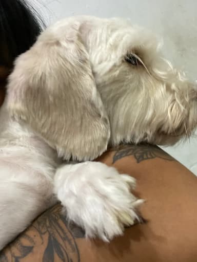 Foto de Morena L.