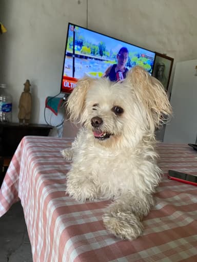 Foto de Morena L.