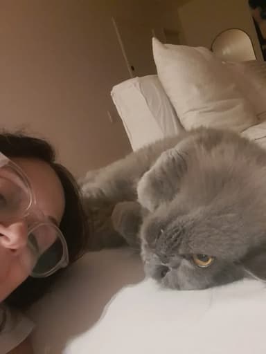 Foto de Paula G.