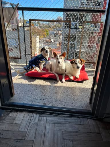 Foto de Melisa A.