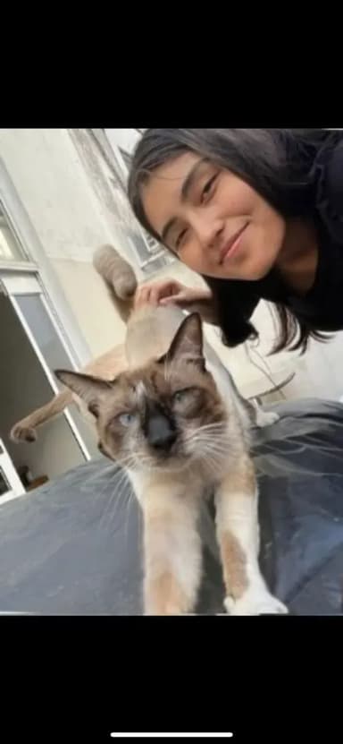 Foto de Melisa A.