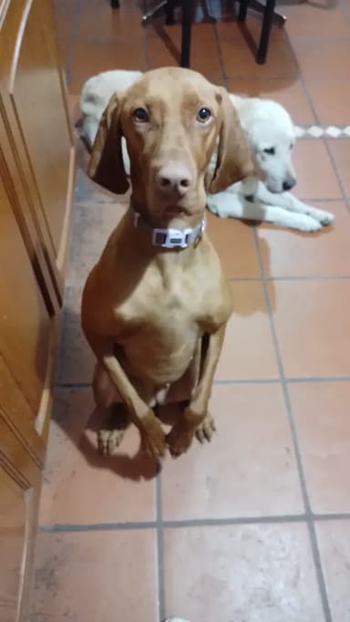 Foto de Maria Gisela V.