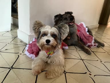Foto de Maria H.