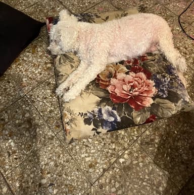 Foto de Malena C.