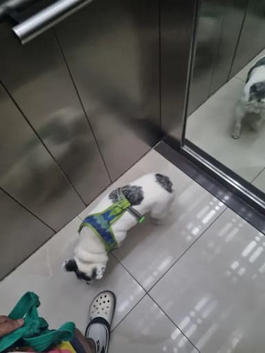 Foto de Emanuel L.