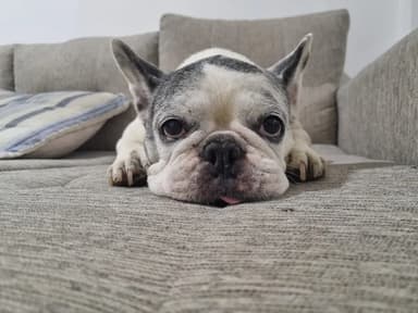 Foto de Emanuel L.