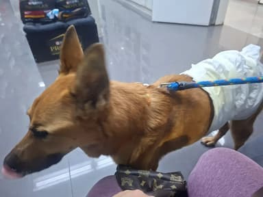 Foto de Rodrigo B.