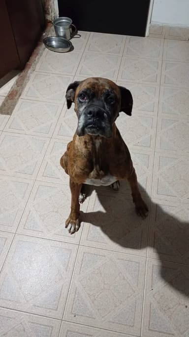 Foto de Rodrigo B.