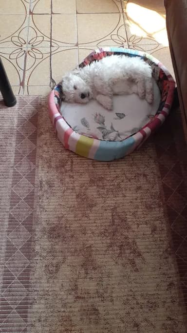 Foto de Romina M.