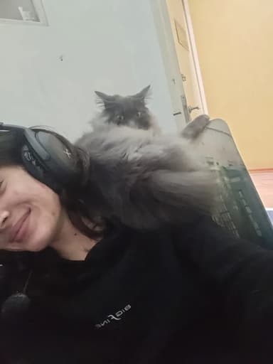 Foto de Pamela L.