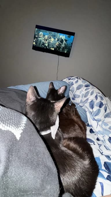 Foto de Kiara B.