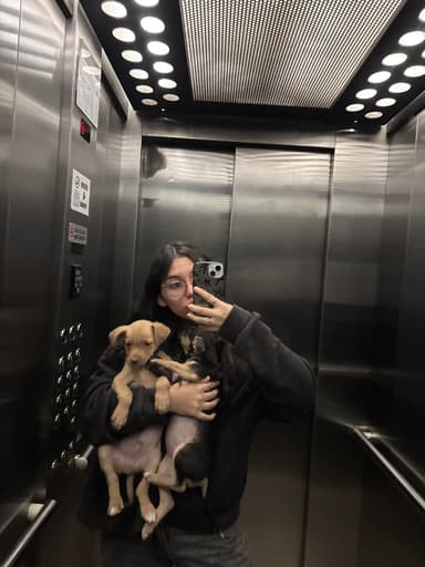 Foto de Kiara B.