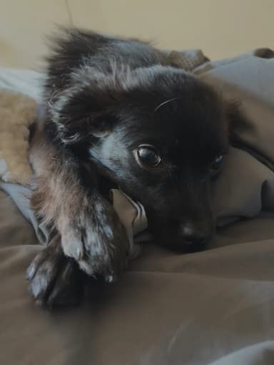 Foto de Kiara B.