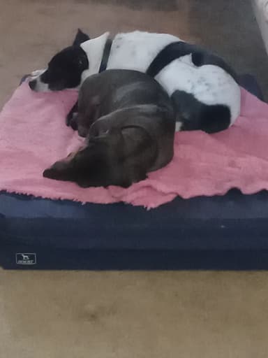 Foto de Clarisa C.