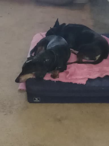 Foto de Clarisa C.